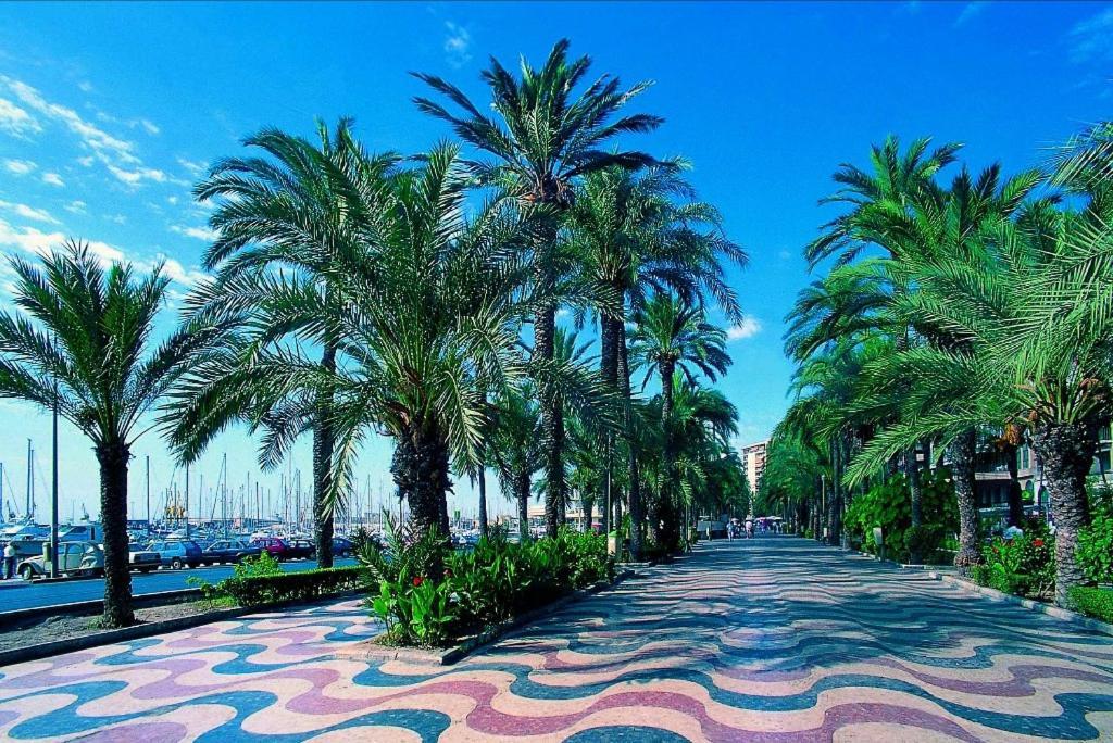 Charming Apartment In Alicante Near The Sea & City Center Екстериор снимка